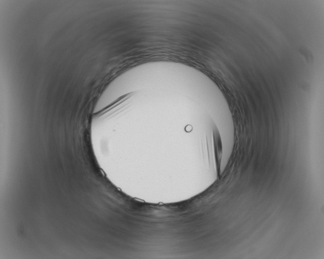 X0000112760229200910011222