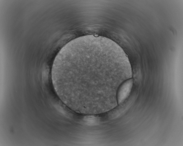 X0000112760231200910011222