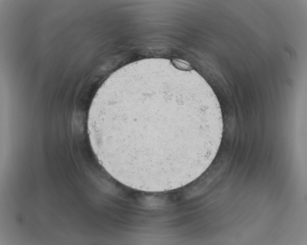 X0000112760232200910011222