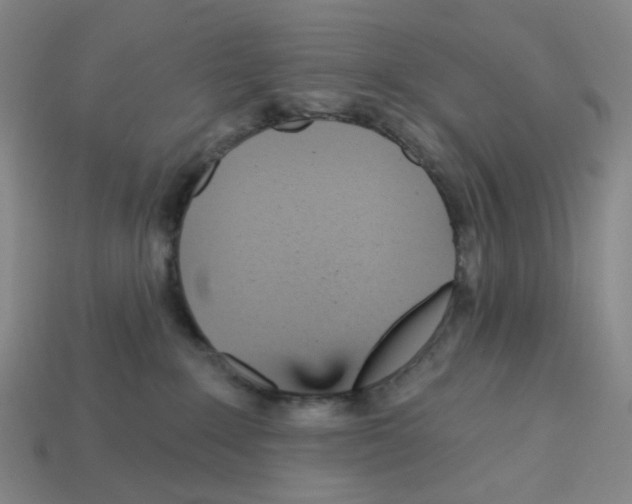 X0000112760235200910011222