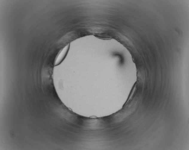 X0000112760237200910011222