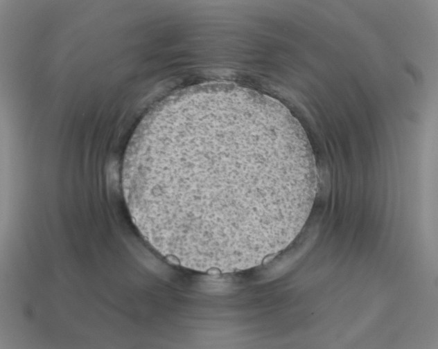 X0000112760238200910011222