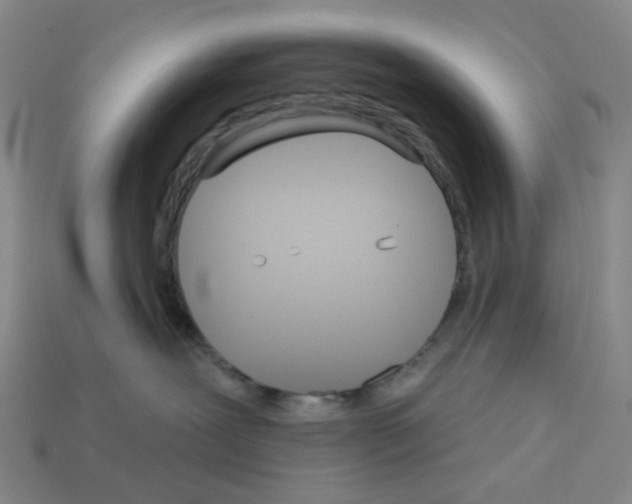 X0000112760239200910011222