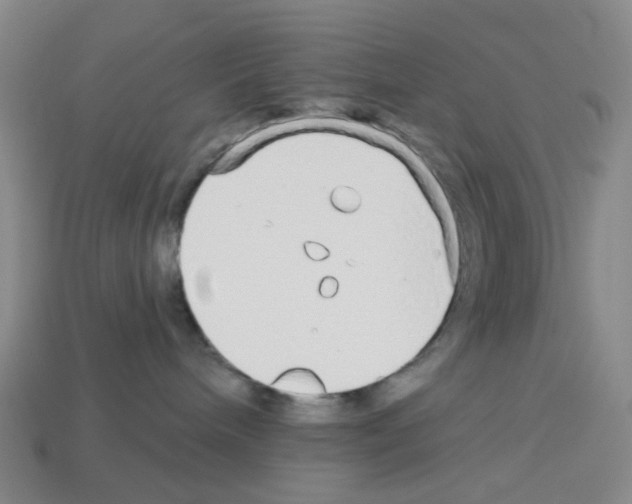 X0000112760240200910011222