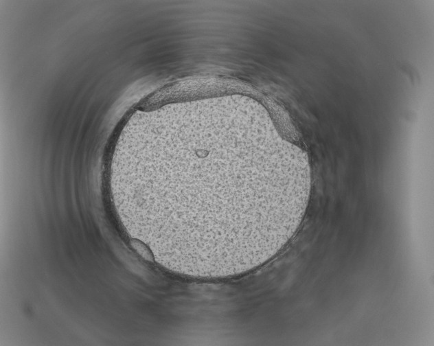 X0000112760242200910011221