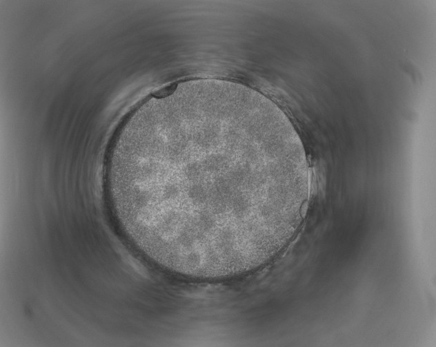 X0000112760243200910011221