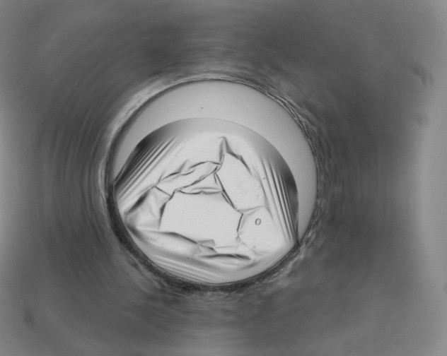 X0000112760244200910011221