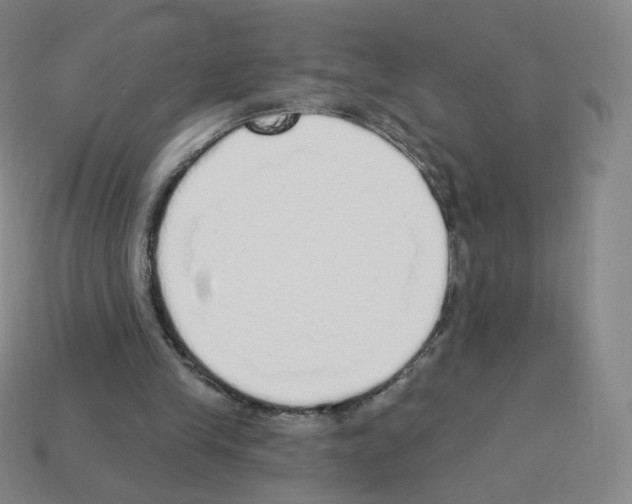 X0000112760245200910011221