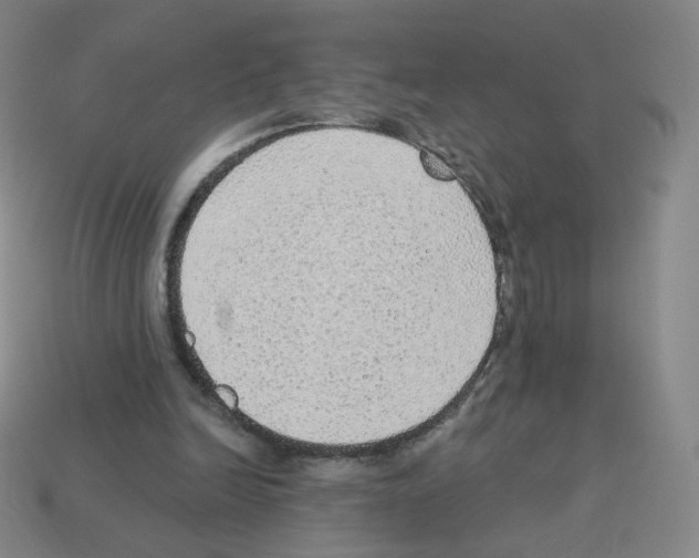 X0000112760246200910011221
