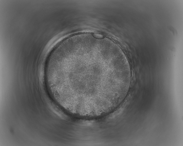 X0000112760247200910011221