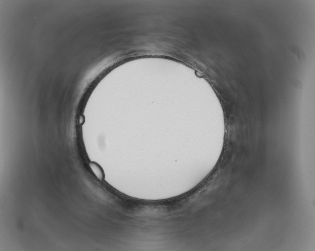 X0000112760248200910011221