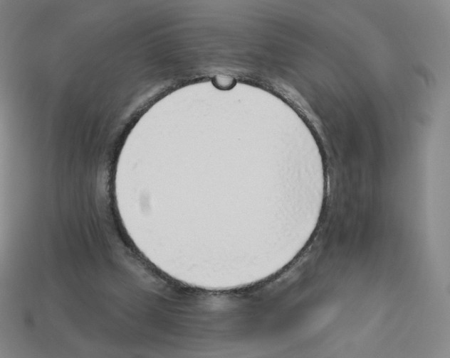 X0000112760249200910011221