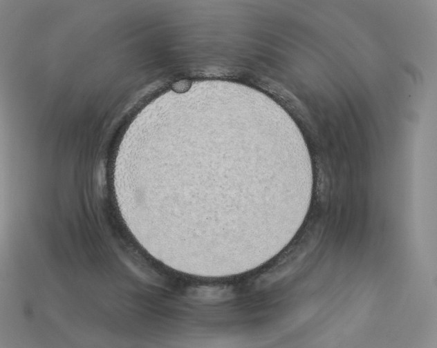 X0000112760251200910011221