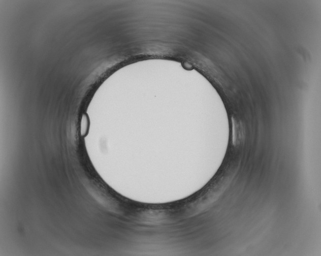 X0000112760252200910011221