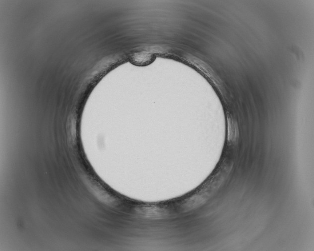 X0000112760253200910011222