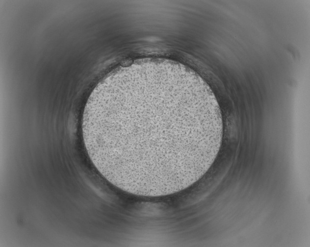 X0000112760255200910011222