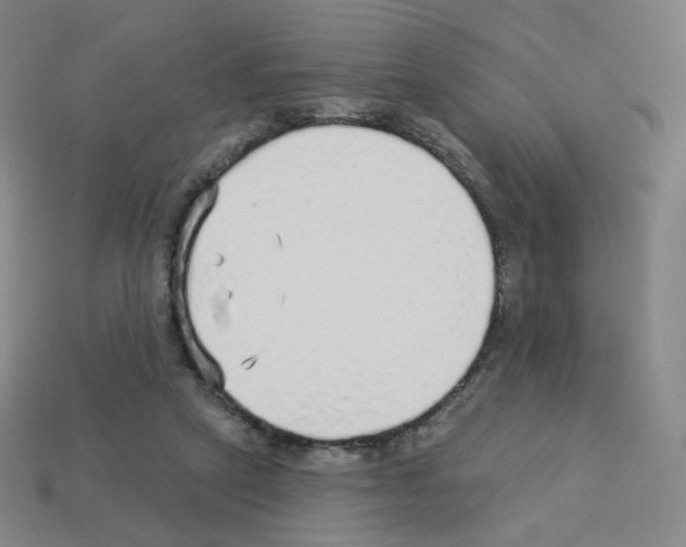 X0000112760257200910011222