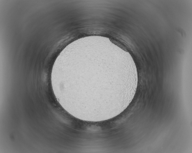 X0000112760258200910011222