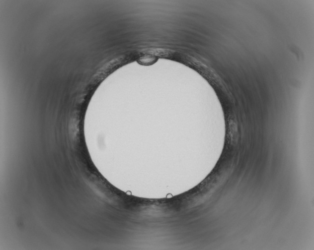 X0000112760259200910011222