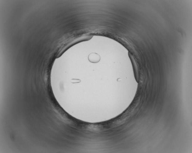 X0000112760261200910011222
