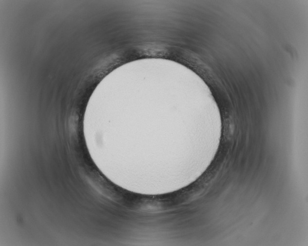 X0000112760263200910011222