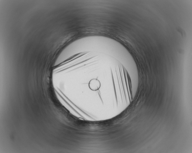 X0000112760264200910011222