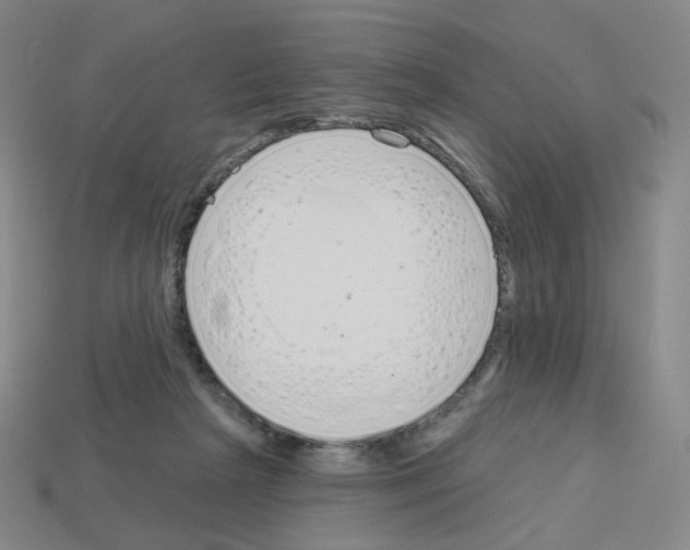 X0000112760265200910011222