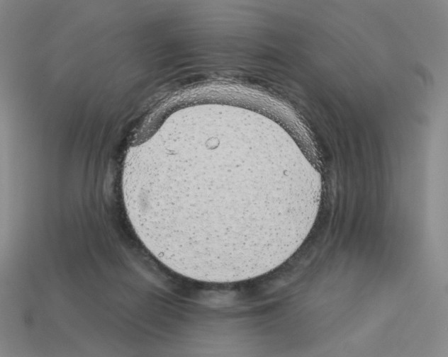 X0000112760266200910011222