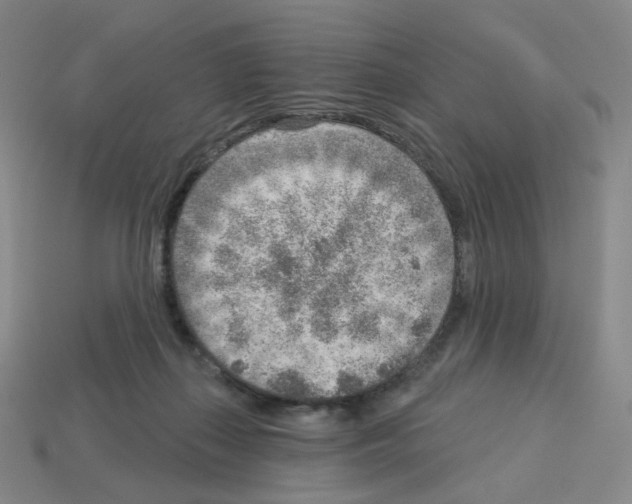 X0000112760267200910011222