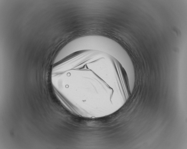 X0000112760268200910011222