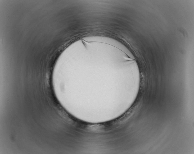 X0000112760269200910011222