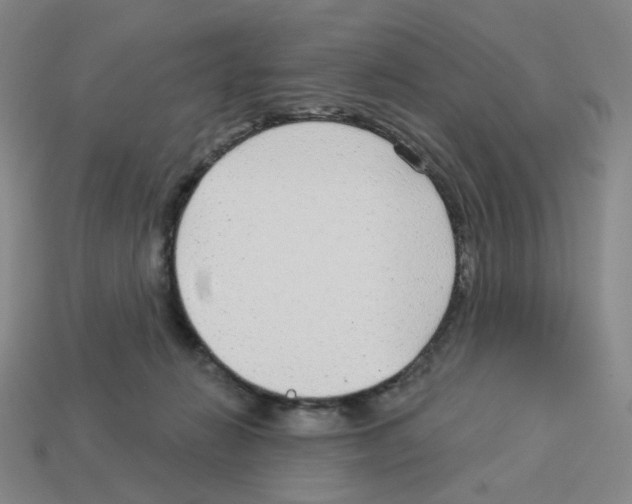 X0000112760270200910011222