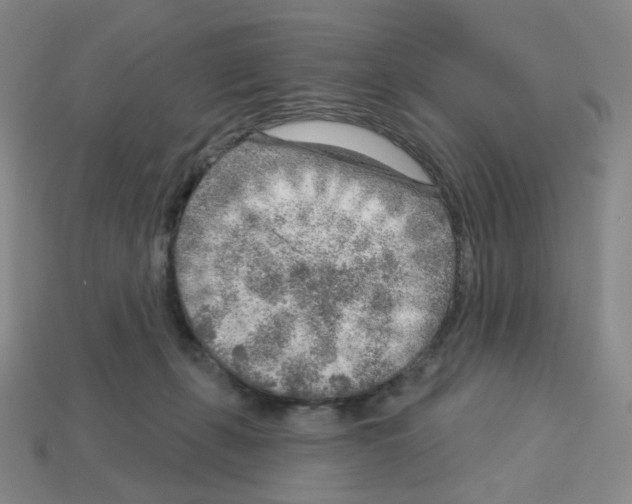 X0000112760271200910011222