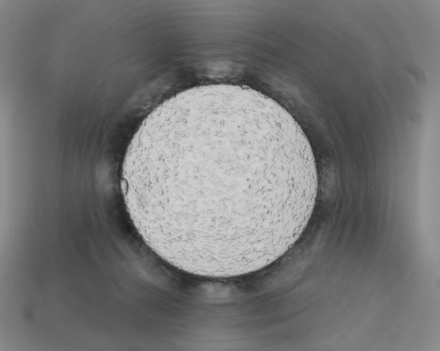 X0000112760272200910011222