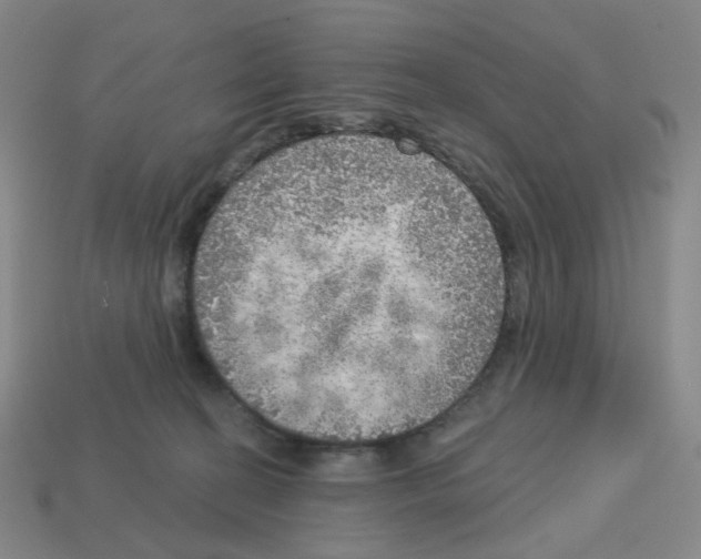 X0000112760274200910011222