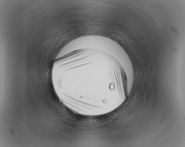X0000112760276200910011222