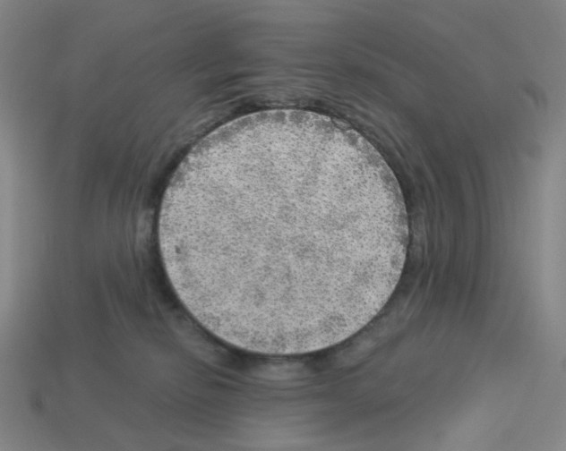 X0000112760278200910011222