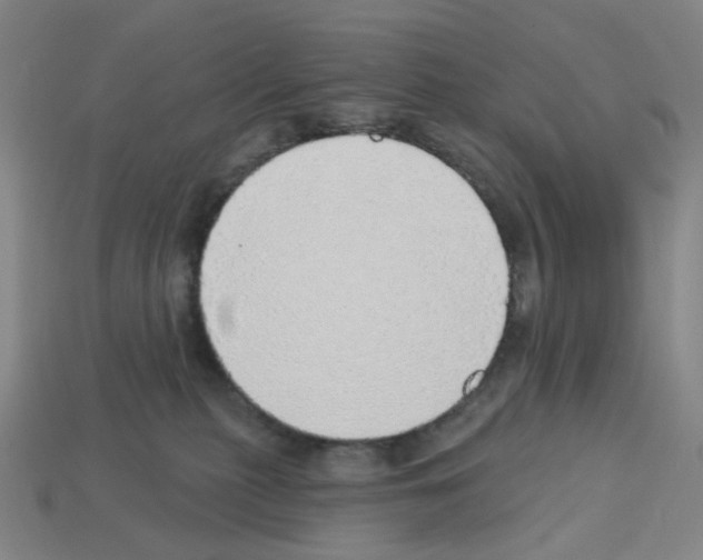 X0000112760279200910011222