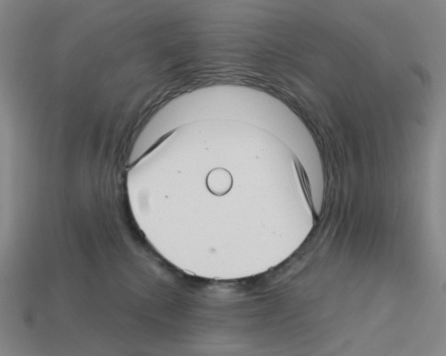 X0000112760280200910011222