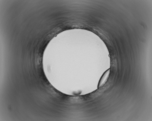 X0000112760281200910011222
