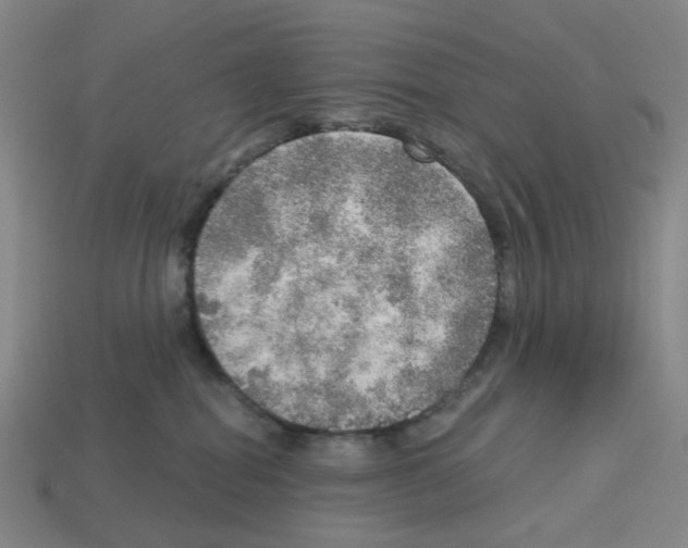 X0000112760282200910011222