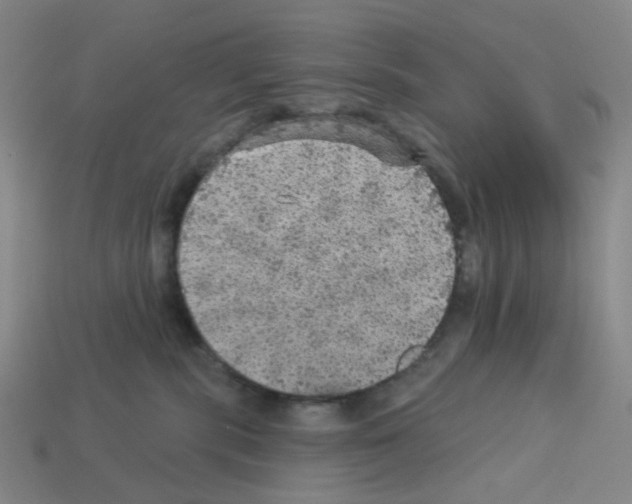 X0000112760283200910011222
