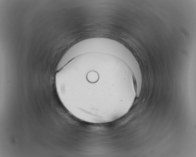 X0000112760284200910011222