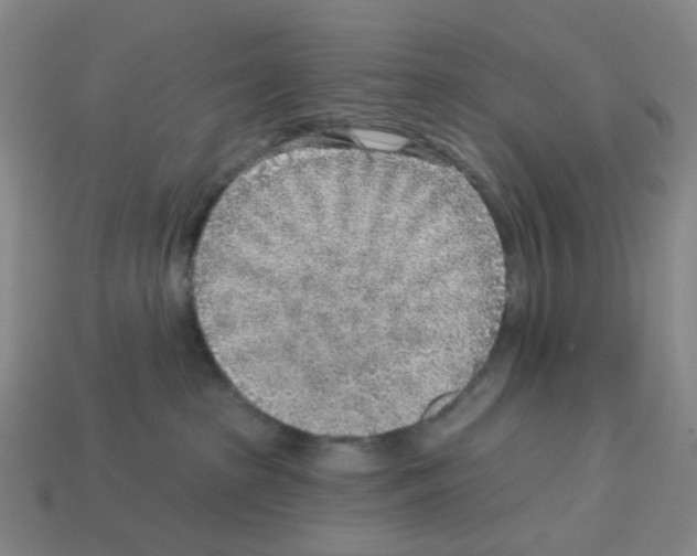 X0000112760285200910011222