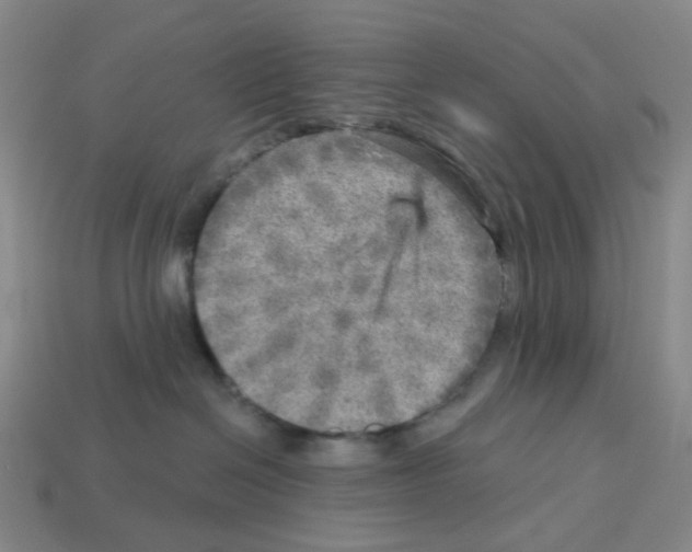 X0000112760286200910011222