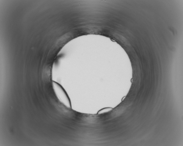 X0000112760288200910011222