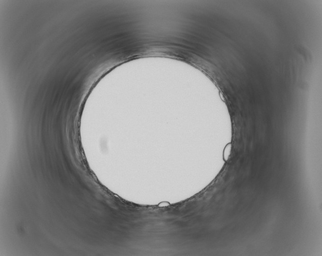X0000112760289200910011221
