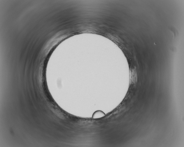 X0000112760291200910011221