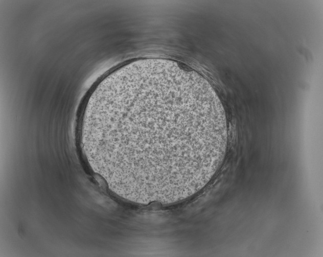 X0000112760292200910011221