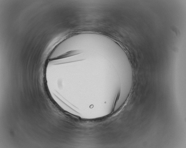 X0000112760293200910011221